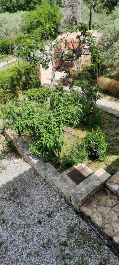 ניונס Maison Provence Avec Piscine Privative מראה חיצוני תמונה